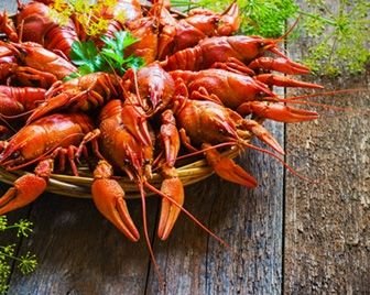 Чешская пивоварня использует раков для очистки воды