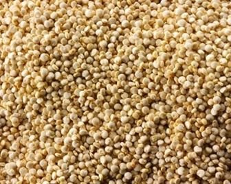 Древнеафриканское зерно может стать новым суперпродуктом