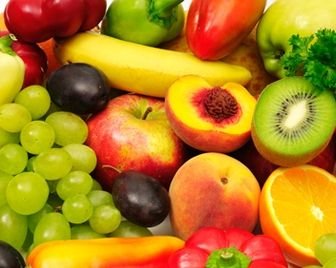 Испания имеет самые большие площади для выращивания органической продукции