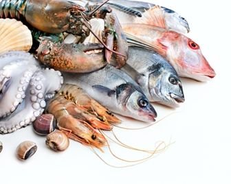 В России откроется первый береговой завод по переработке морепродуктов