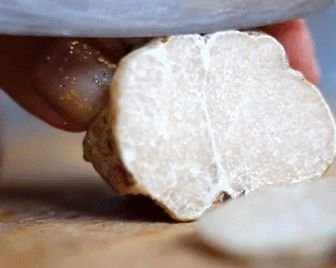 Цены на трюфели выросли вдвое после засушливой осени