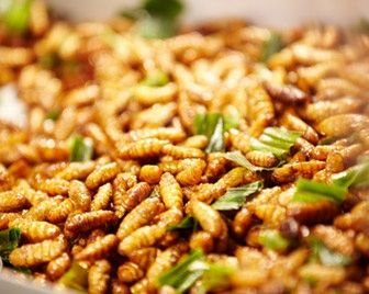 Продажа насекомых в Финляндии станет официальной